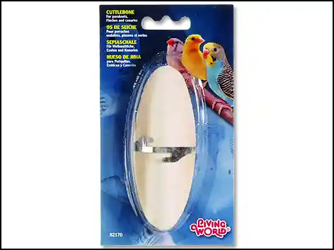 Kost sépiová LIVING WORLD s držákem Nová Kolekce