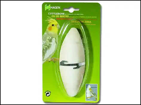 Kost sépiová LIVING WORLD s držákem velká Kup Teď