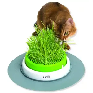 Expresní Doručení Trávník CAT IT Design Senses 2.0
