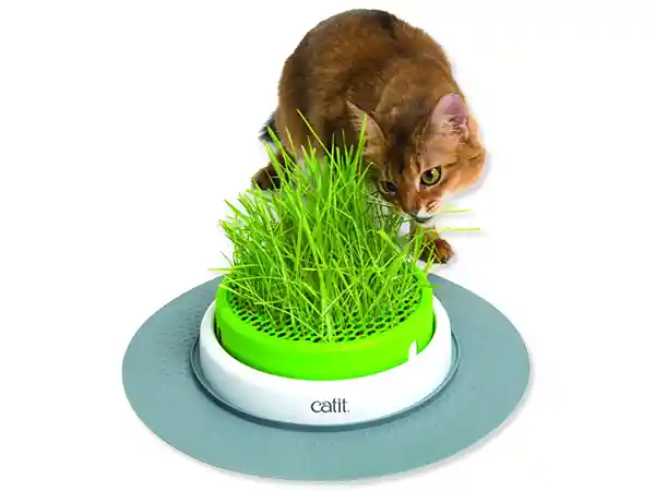 Expresní Doručení Trávník CAT IT Design Senses 2.0