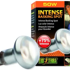 Nejprodávanější Žárovka EXO TERRA intense basking spot 50W