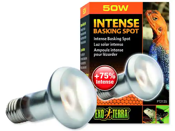 Nejprodávanější Žárovka EXO TERRA intense basking spot 50W