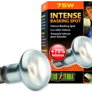 Žárovka EXO TERRA intense basking spot 75W Pouze Dnes