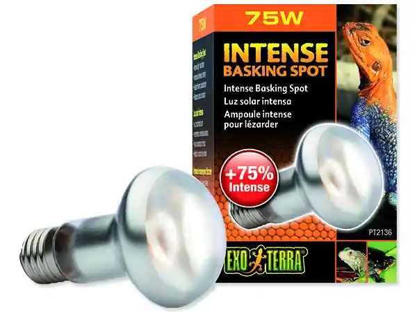 Žárovka EXO TERRA intense basking spot 75W Pouze Dnes