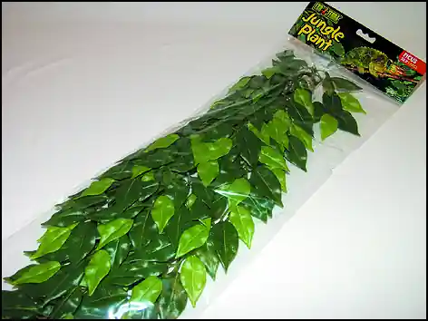 Rostlina EXO TERRA Ficus velká 70 cm Kup Teď