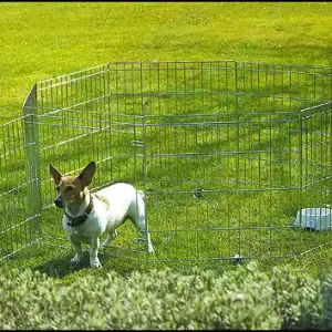Dokud Zásoby Vydrží Ohrádka SAVIC Dog park 2