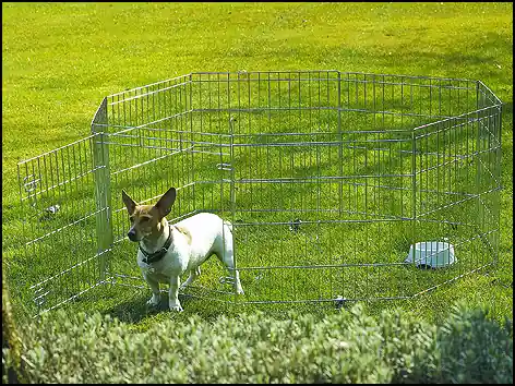 Dokud Zásoby Vydrží Ohrádka SAVIC Dog park 2