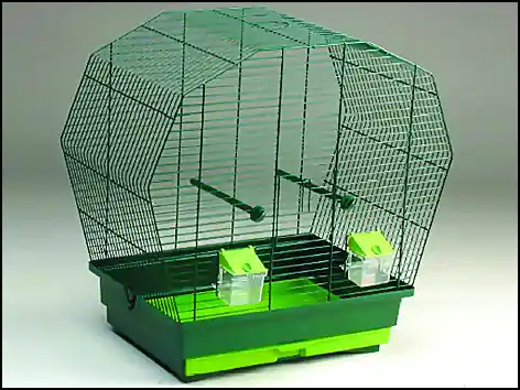 Klec BIRD JEWEL K6 tmavě zelená Expresní Doručení