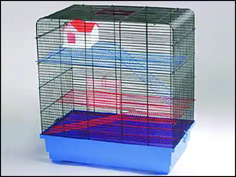 Víkendová Akce Klec SMALL ANIMALS Tom I chromová + modrá