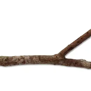 Bidýlko BIRD JEWEL dřevěné přírodní 20 cm Cenový Hit