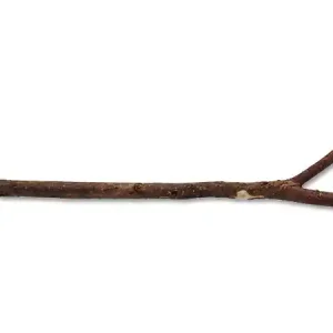 Novinka Bidýlko BIRD JEWEL dřevěné přírodní 40 cm