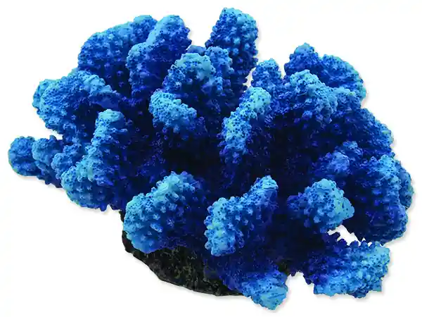 Dekorace AQUA EXCELLENT mořský korál modrý Nová Kolekce