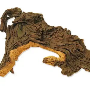Dekorace HOBBY DOHSE tropical wood M Ihned K Objednání