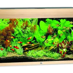 Akvárium set JUWEL Rio LED 125 dub 125l POUZE OSOBNÍ ODBĚR Originální