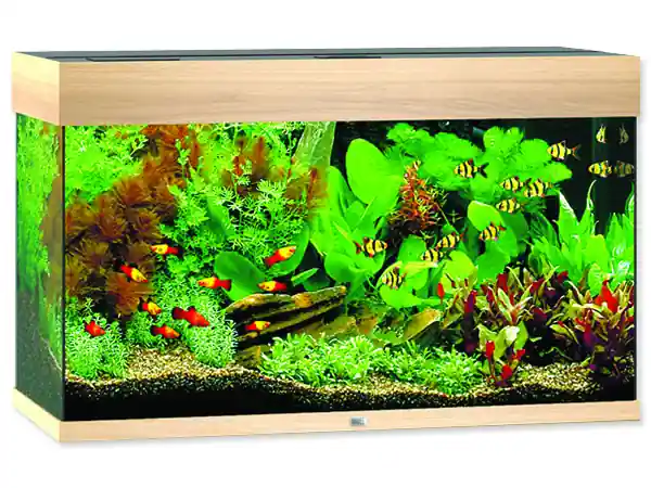 Akvárium set JUWEL Rio LED 125 dub 125l POUZE OSOBNÍ ODBĚR Originální