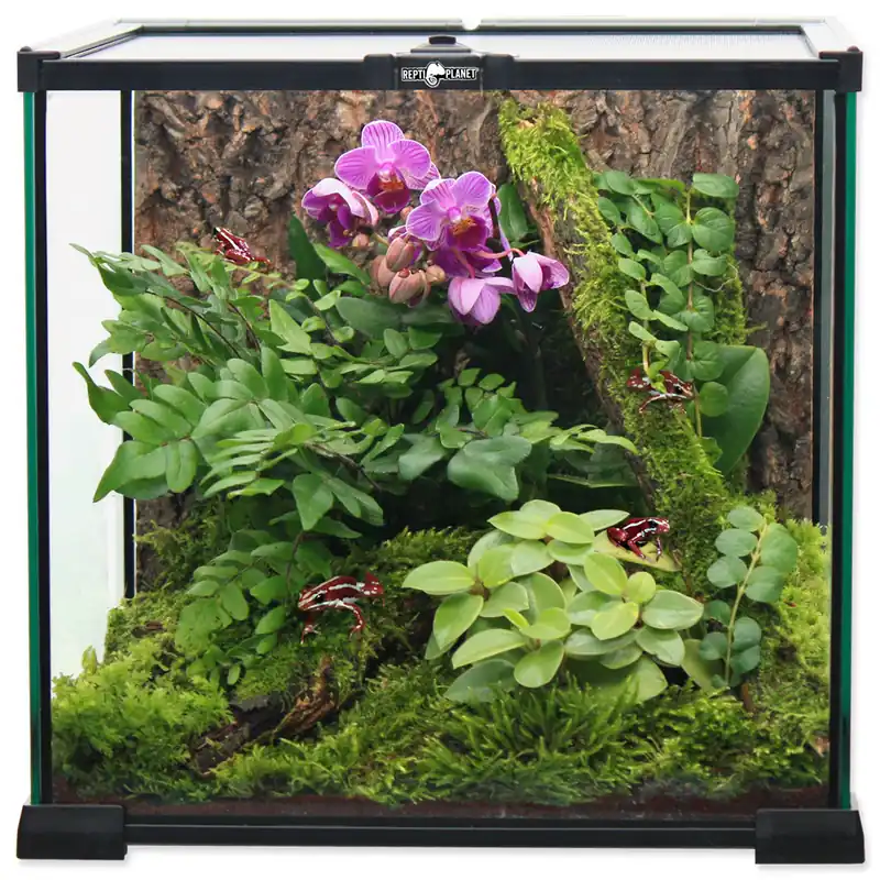 Cenově Výhodný Terárium REPTI PLANET skleněné 20 x 20 x 20 cm POUZE OSOBNÍ ODBĚR