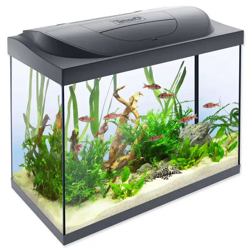 Akvárium set TETRA Starter Line LED 80 l, 62,5*34*53,5 cm POUZE OSOBNÍ ODBĚR Vrácení Zdarma
