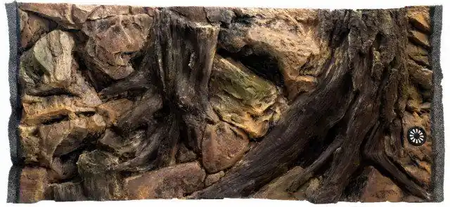 Pozadí kořen 100x50 Akce