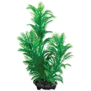 Vrácení Zdarma Rostlina TETRA Green Cabomba S (1ks)