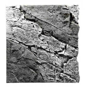 BACK TO NATURE Slimline Basalt/Gray 50A, 50x45 cm Nová Kolekce