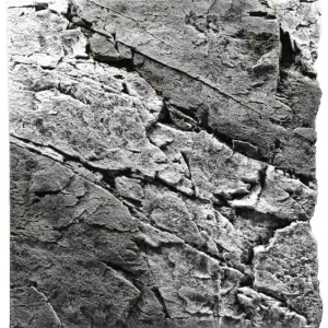 BACK TO NATURE Slimline Basalt/Gray 50B, 50x45 cm Kup Teď