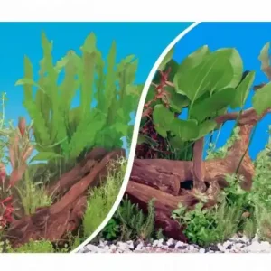 Časově Omezené Pozadí oboustranné 150 x 60 cm výška