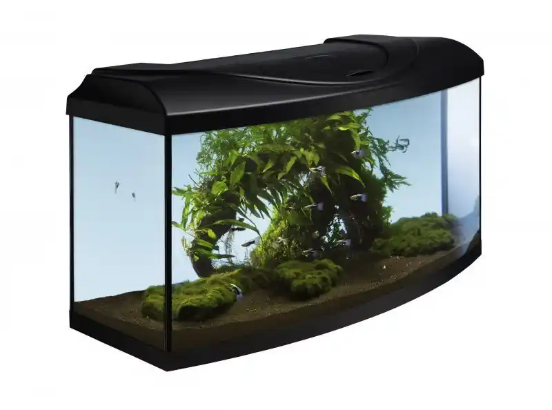 Cenově Výhodný Akvarijní set DIVERSA 80 LED EXPERT černý oblý