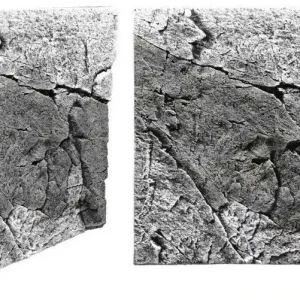 BACK TO NATURE Slimline Basalt/Gray 60A, 50x55 cm Nejlepší Cena