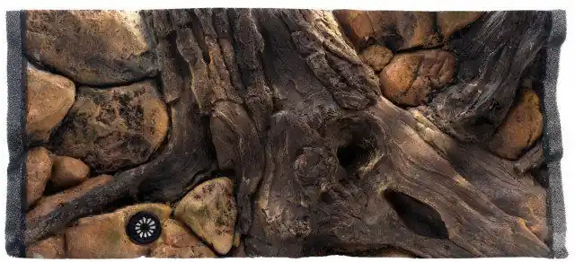 Pozadí amazonka 80x40 Kup Teď