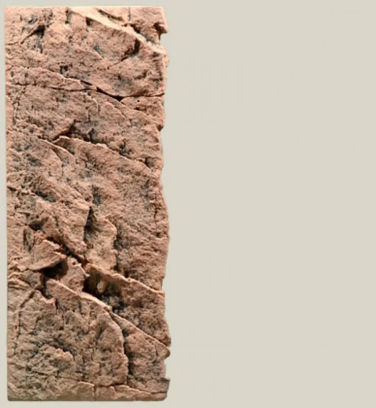 Bezpečná Platba BACK TO NATURE Slimline 60C 20x55 cm Red Gneiss
