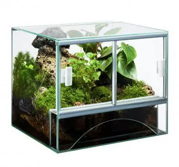 Terarium skleněné 40*30*30 Akce
