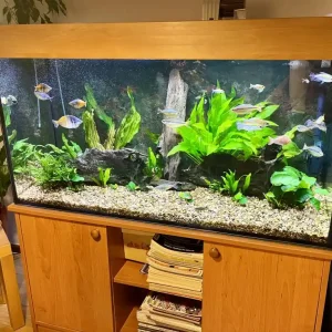 Zlevněný Akvarijní komplet 120 x 50 x 133 cm výška