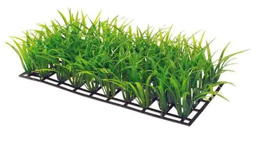 Koupit Online HOBBY Dekorace Plant Mat 3, 25x12,5 cm