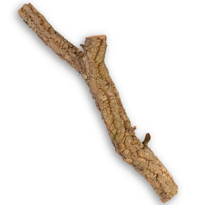 Korková dubová větev 40 - 50 cm Nejprodávanější