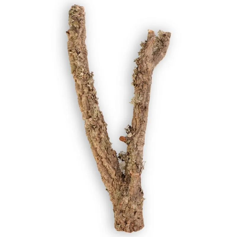 Výhodná Nabídka Korková dubová větev 50 - 60 cm