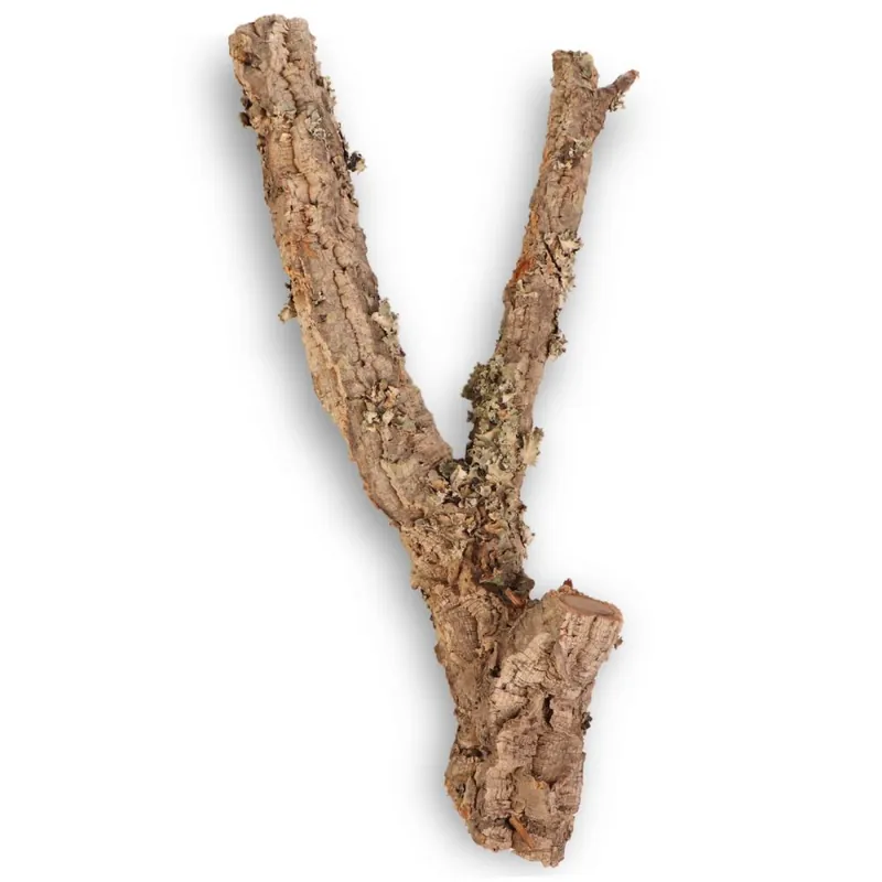 Korková dubová větev 60 - 80 cm Nakupujte Hned