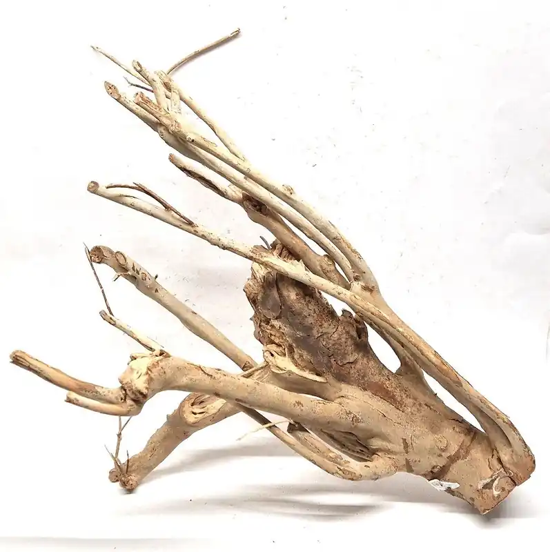 Kořen Talawa - Holz M 30 - 45 cm Novinka