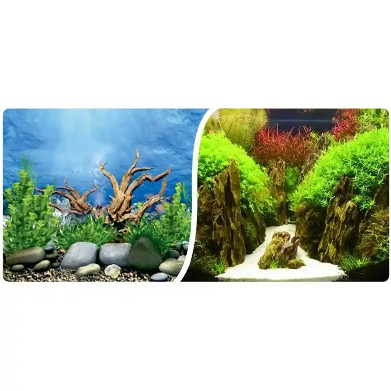 Přímo Od Výrobce Pozadí tapeta sladkovodní oboustranné - výška 40 cm / 10 cm