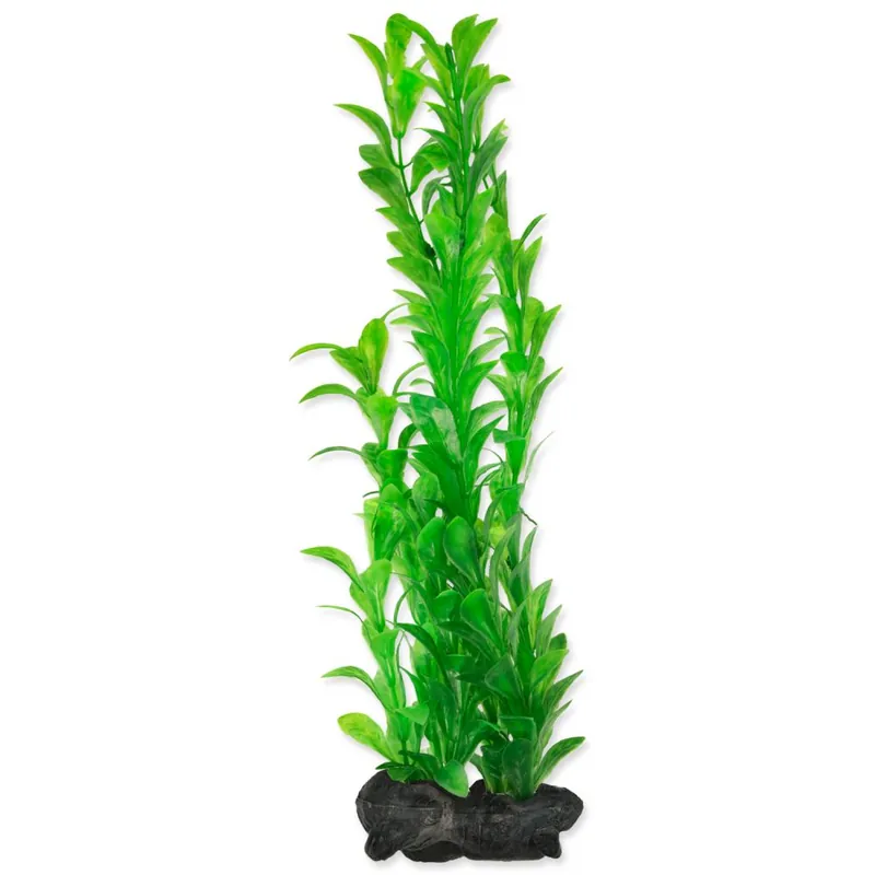 Bezpečná Platba Rostlina TETRA Hygrophila L