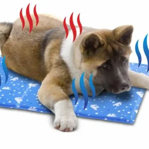 Cenově Výhodný Samochladící podložka, L, pro parní letní dny, Cooling Mat 90 x 60