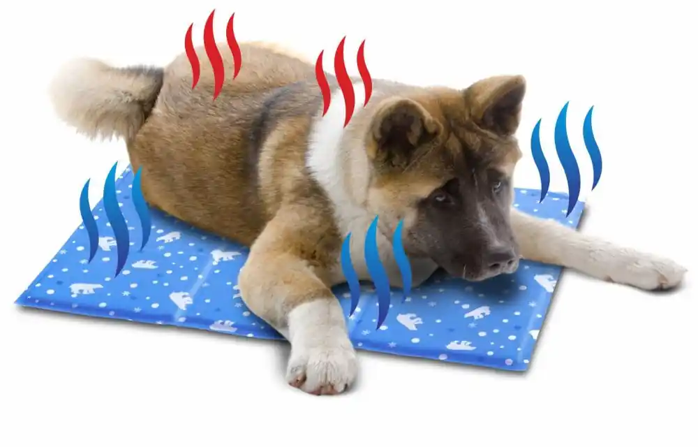 Cenově Výhodný Samochladící podložka, L, pro parní letní dny, Cooling Mat 90 x 60