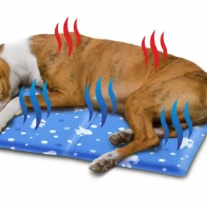 Akce Samochladící podložka, S-M, pro parní letní dny, Cooling Mat 60 x 40