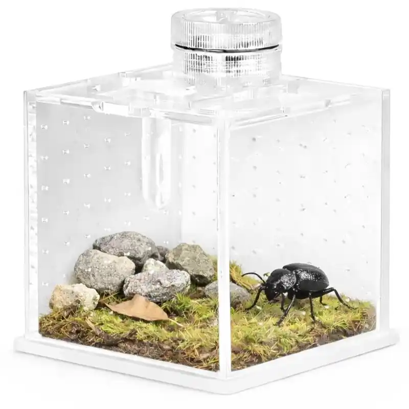 Hit Sezóny SpiderNook M Terrario - Mini akrylové terárium s osvětlením 6,5 x 6,5 x 6,3 cm