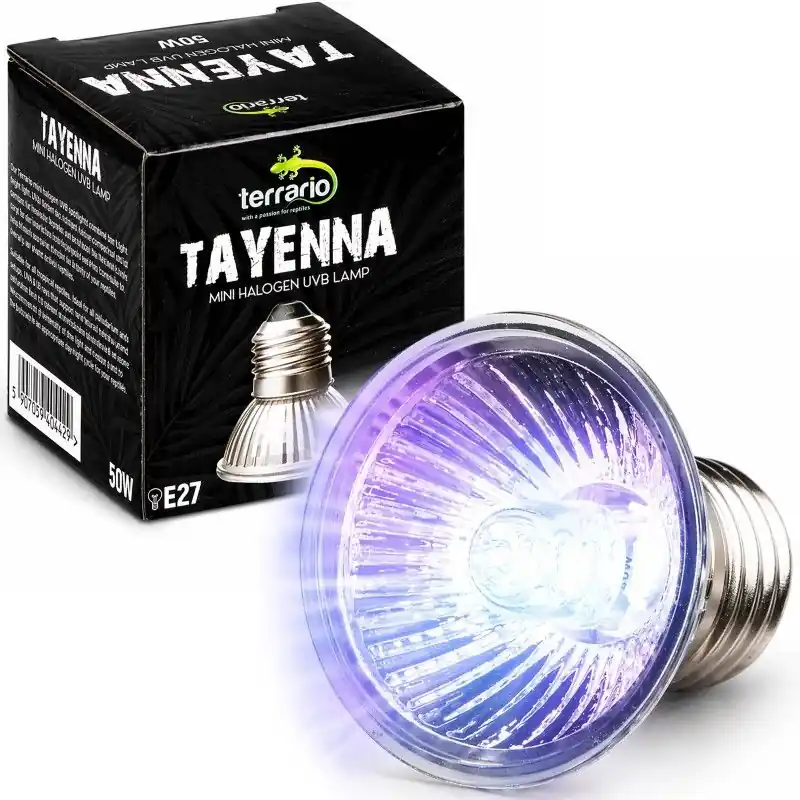 Terrario Tayenna 50W - mini halogen UVB žárovka Nejlepší Cena