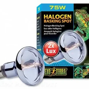 Žárovka EXO TERRA Halogen Basking Spot (75W) Poslední Šance