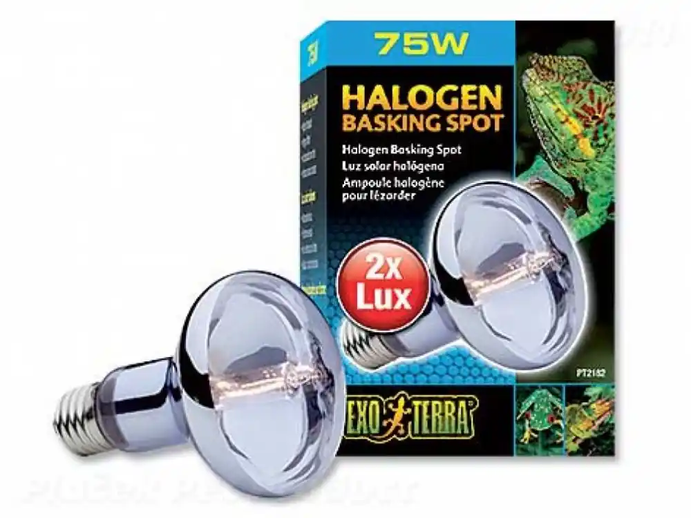 Žárovka EXO TERRA Halogen Basking Spot (75W) Poslední Šance