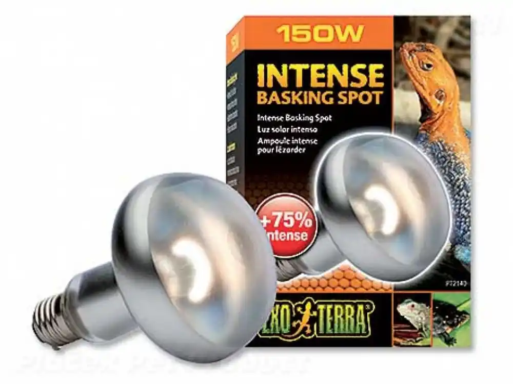 Tovární Cena Žárovka EXO TERRA Intense Basking Spot (150W)