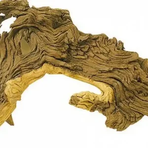 Akční Nabídka Dekorace Tropical wood S