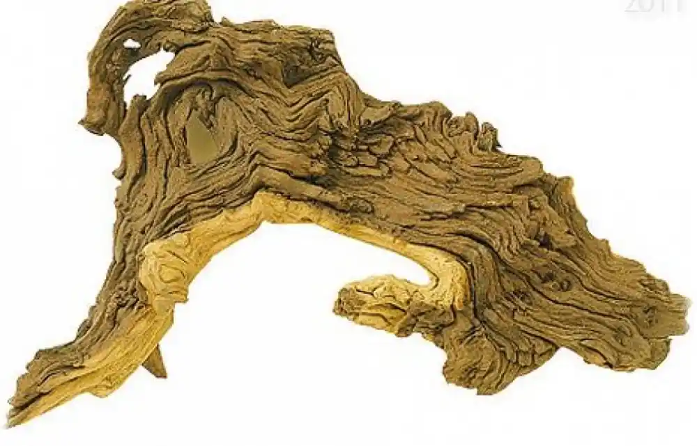 Akční Nabídka Dekorace Tropical wood S