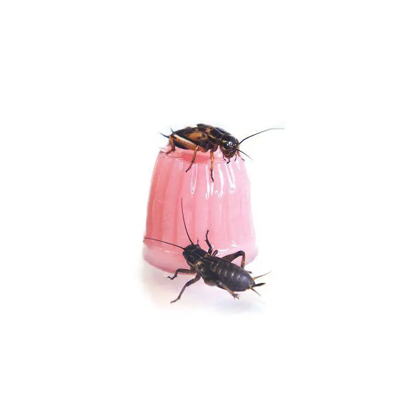 Nejprodávanější Jelly Pot Calcium 16g